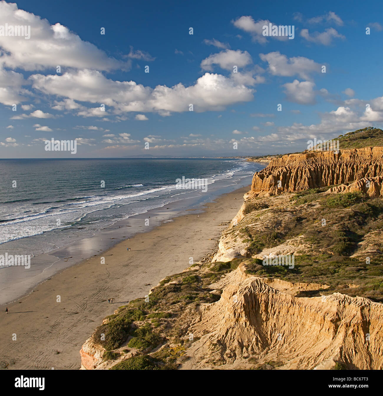 Torrey Pines State Beach a San Diego, California, Stati Uniti d'America. Foto Stock