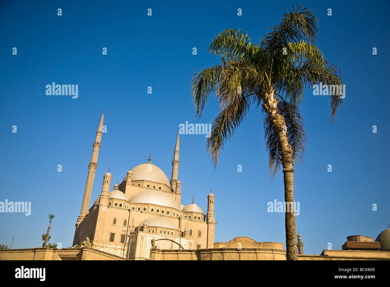 L'Egitto, la moschea, la Moschea di Muhammad Ali, inizio del diciannovesimo secolo, Cairo Cittadella, Palm Tree,cielo blu, Muhammad Ali Pasha,calcare Foto Stock