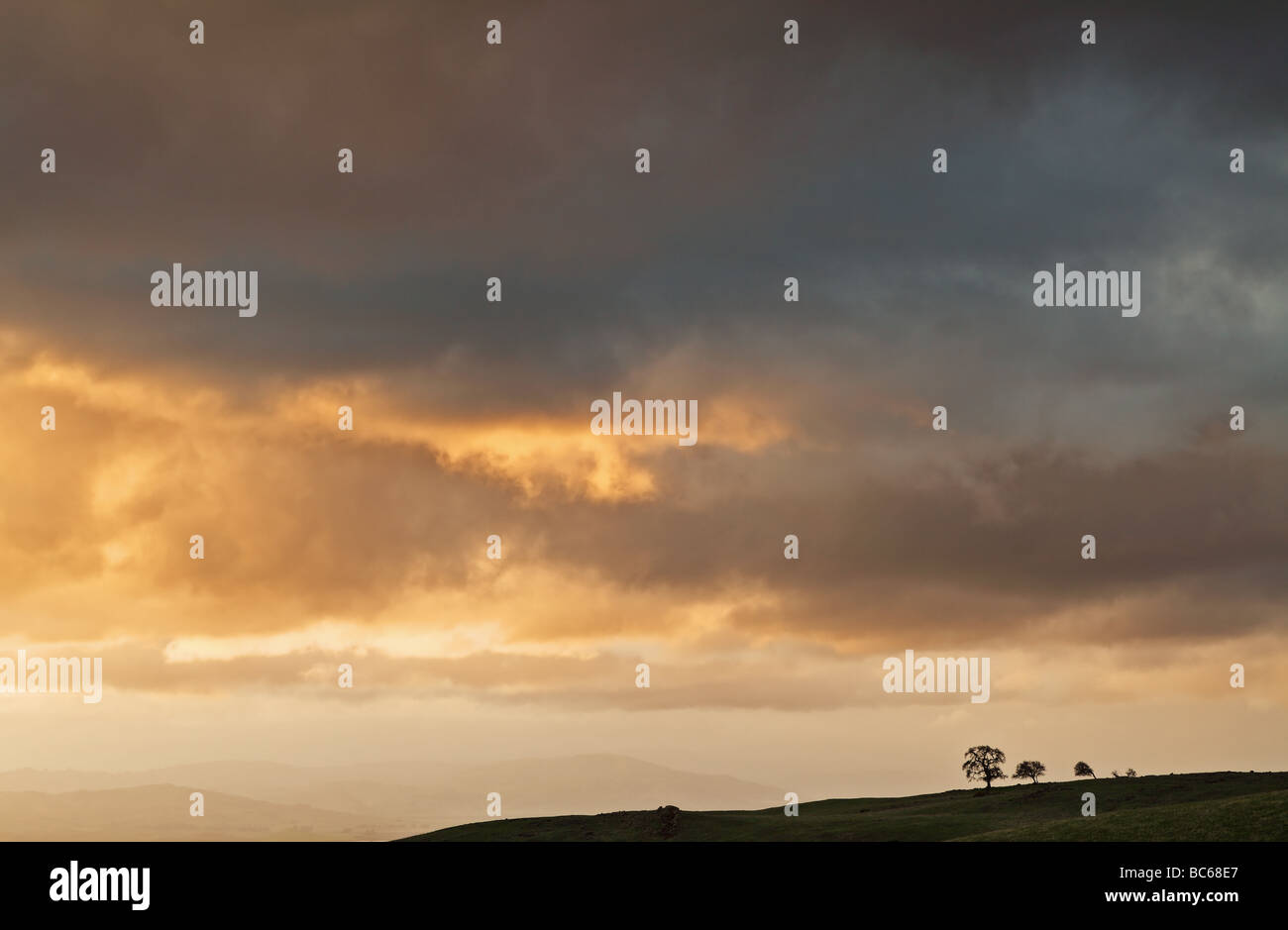 Arancione drammatico nuvole sopra gli alberi Foto Stock