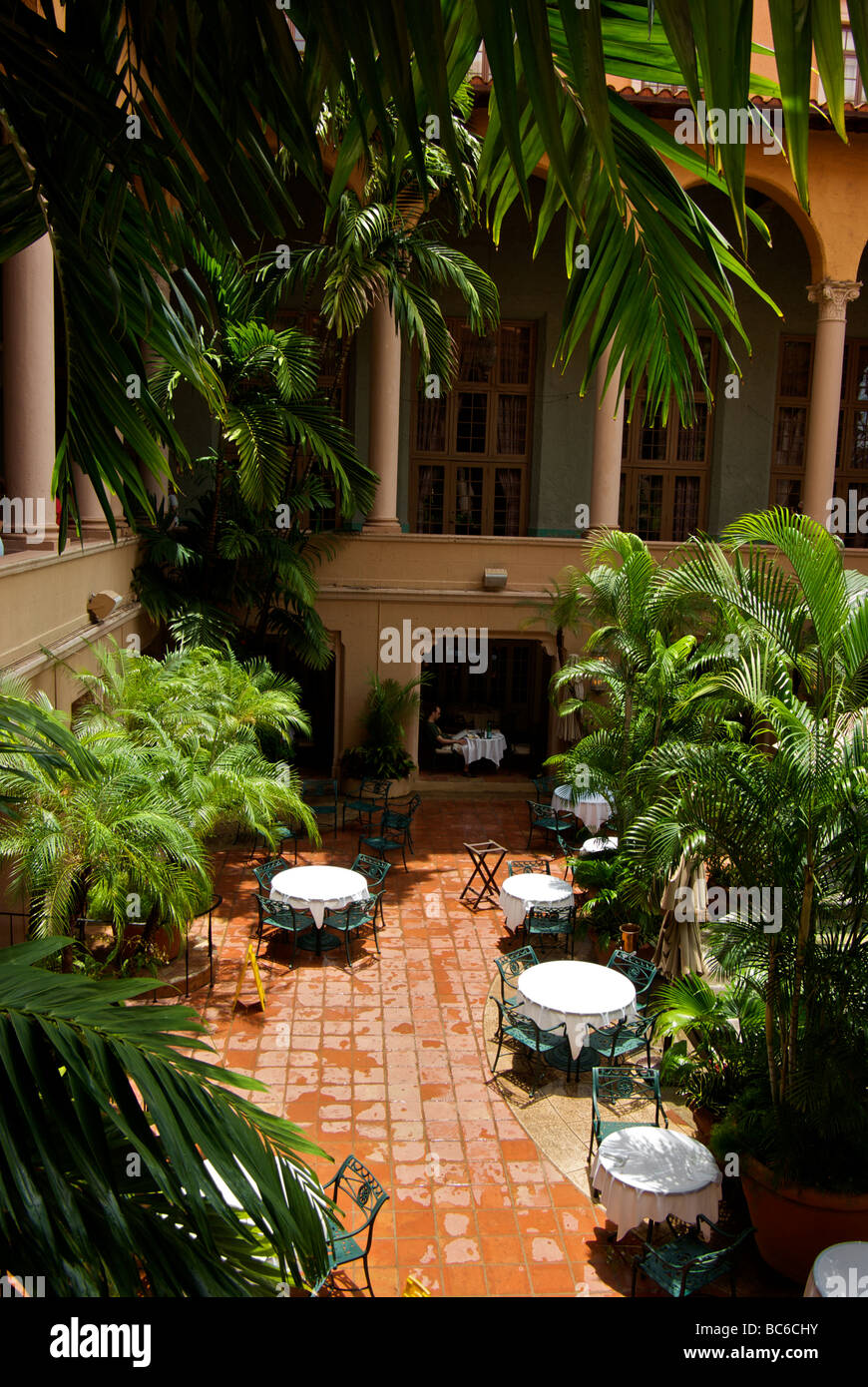 Lone diner gustando uno squisito outdoor palm alberata zona pranzo in atrio-giardino Foto Stock