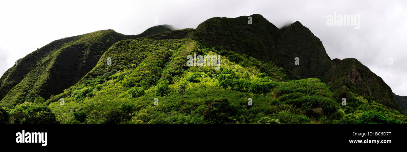 Le montagne a Iao Valley State Park, Hawaii, Stati Uniti d'America. Foto Stock