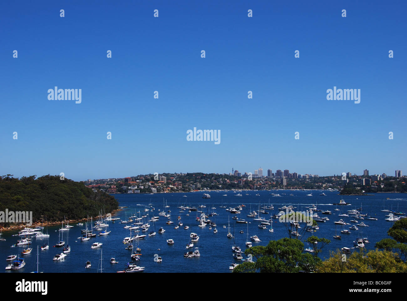 Port Jackson, Sydney, Australia Foto Stock