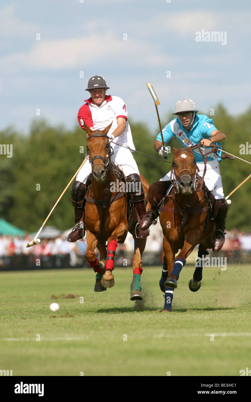 Riproduzione di polo di protezioni Foto Stock