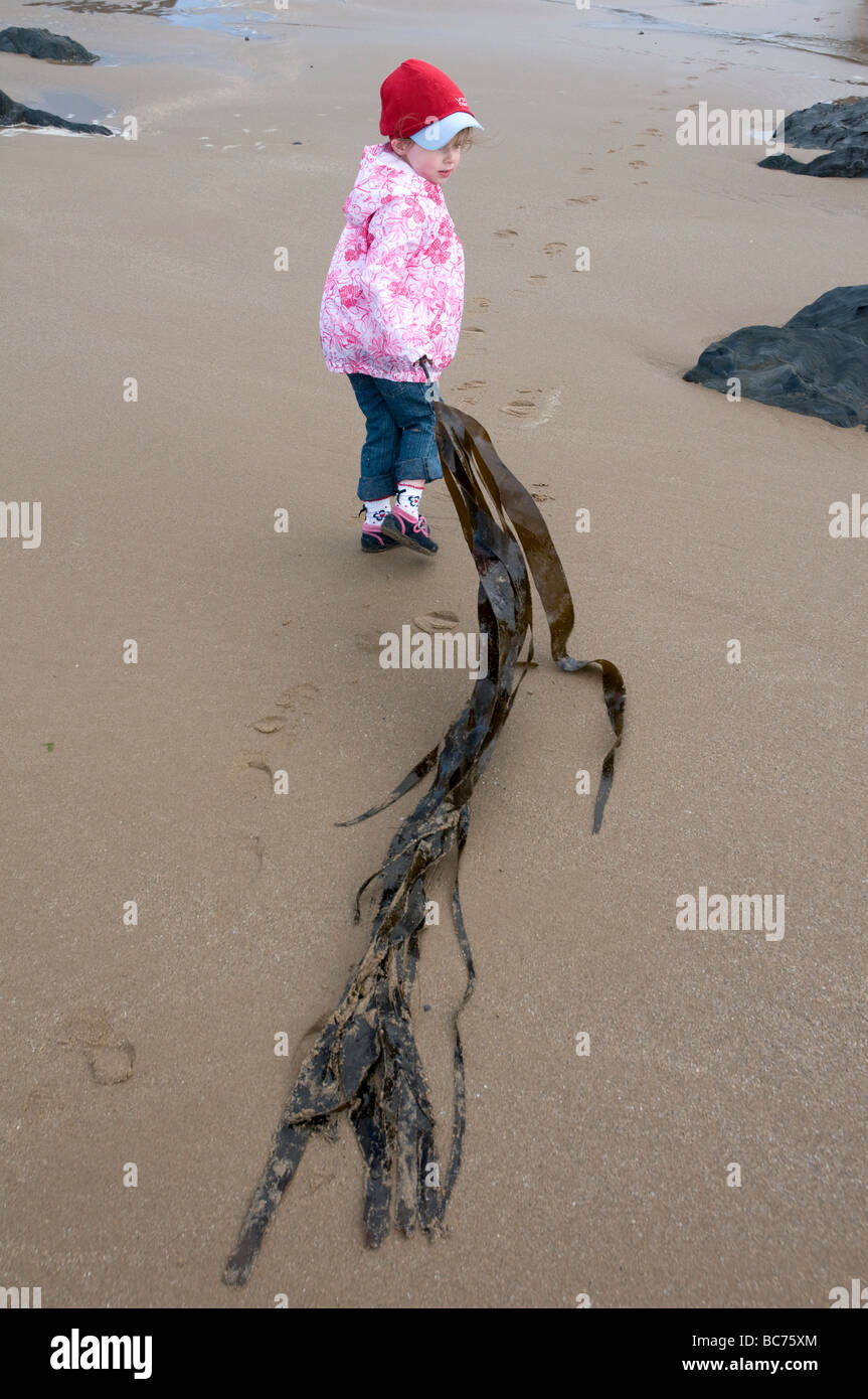 Una giovane ragazza gioca con dsupporto grande pezzo di alghe scoperto durante la riproduzione in una rockpool sulla spiaggia di Croyde in North Devon Foto Stock
