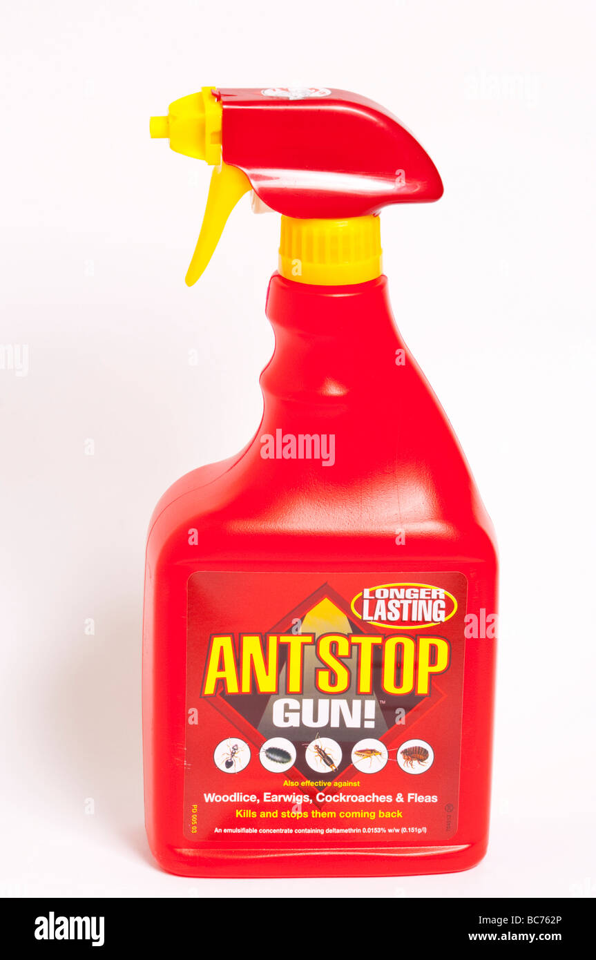 Una stretta fino a spruzzo di una vasca di antstop ant killer per uccidere le formiche scarafaggi e le pulci Foto Stock
