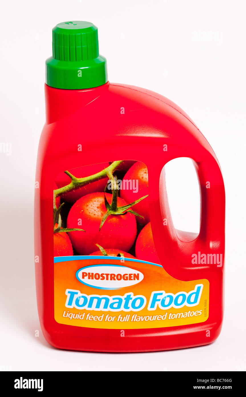 Una chiusura di una vasca del pomodoro phostrogen cibo per alimentare le piante di pomodoro Foto Stock