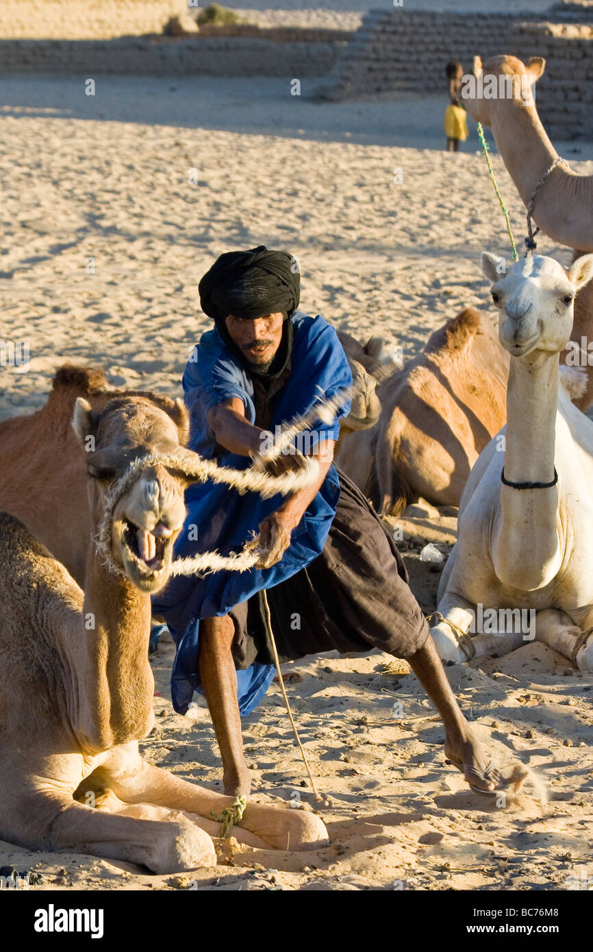 Il tuareg l uomo la manipolazione di un cammello di Timbuktu Mali Foto Stock