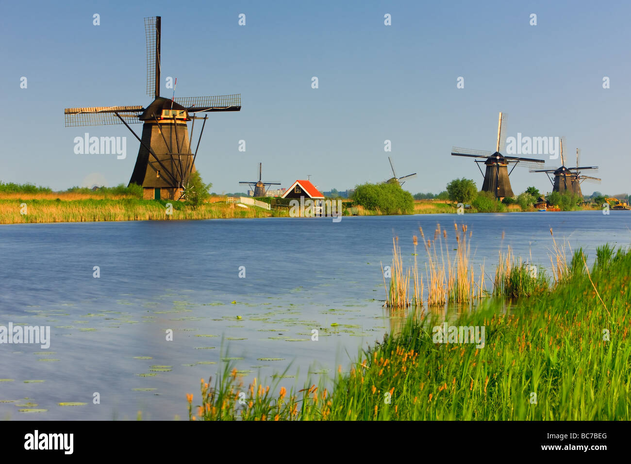 Mulini a vento a Kinderdijk, Paesi Bassi Foto Stock
