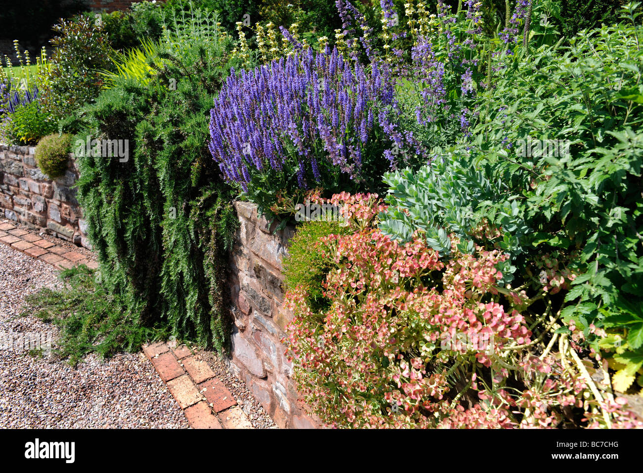 Paesaggistico giardino inglese in Corte Holcombe, Devon, Regno Unito Foto Stock