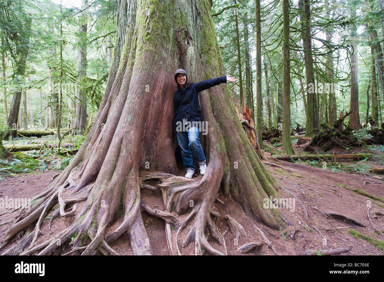 Vecchia Foresta in Cattedrale Grove MacMillan Parco Provinciale Vancouver Island British Columbia Canada Foto Stock
