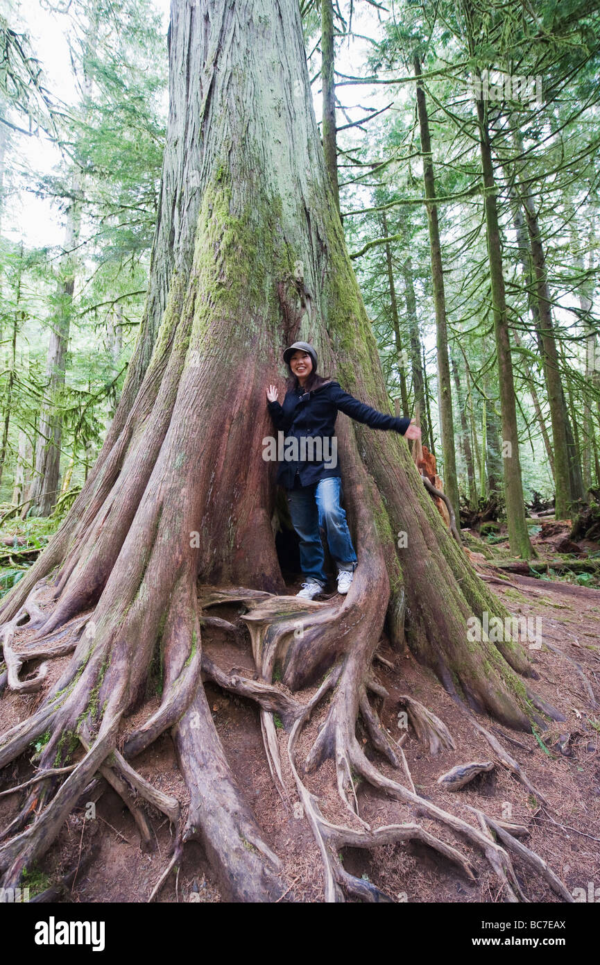 Vecchia Foresta in Cattedrale Grove MacMillan Parco Provinciale Vancouver Island British Columbia Canada Foto Stock