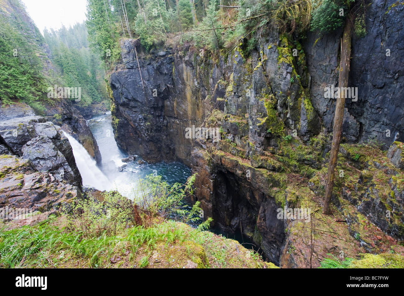 Elk Falls Campbell River Vancouver Island British Columbia Canada Foto Stock