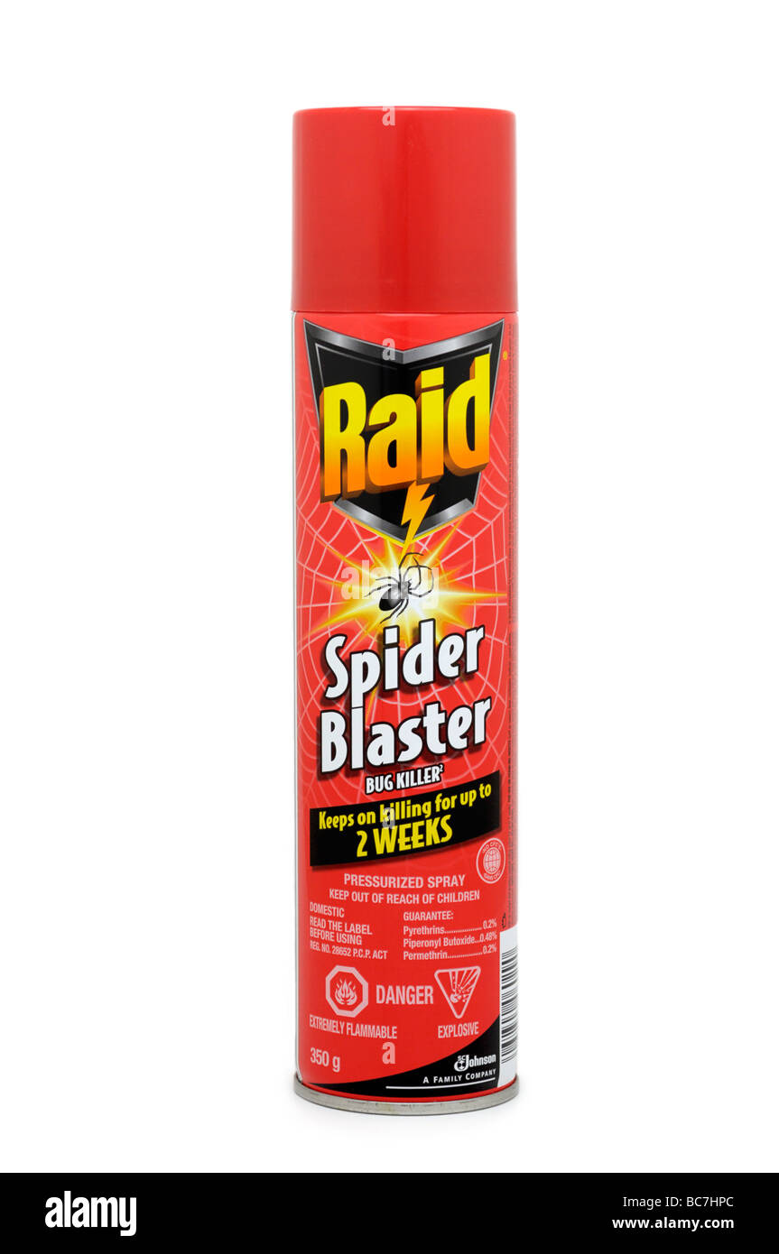 Raid Spider spray killer Foto Stock