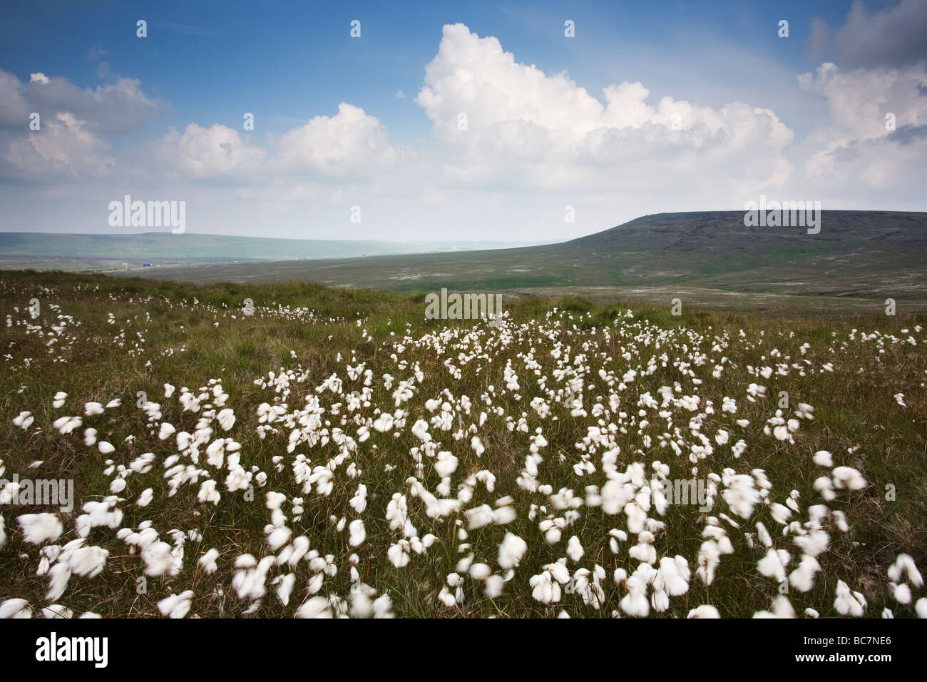 Vista su Saddleworth Moor vicino a Rochdale nel sud Pennines REGNO UNITO Foto Stock