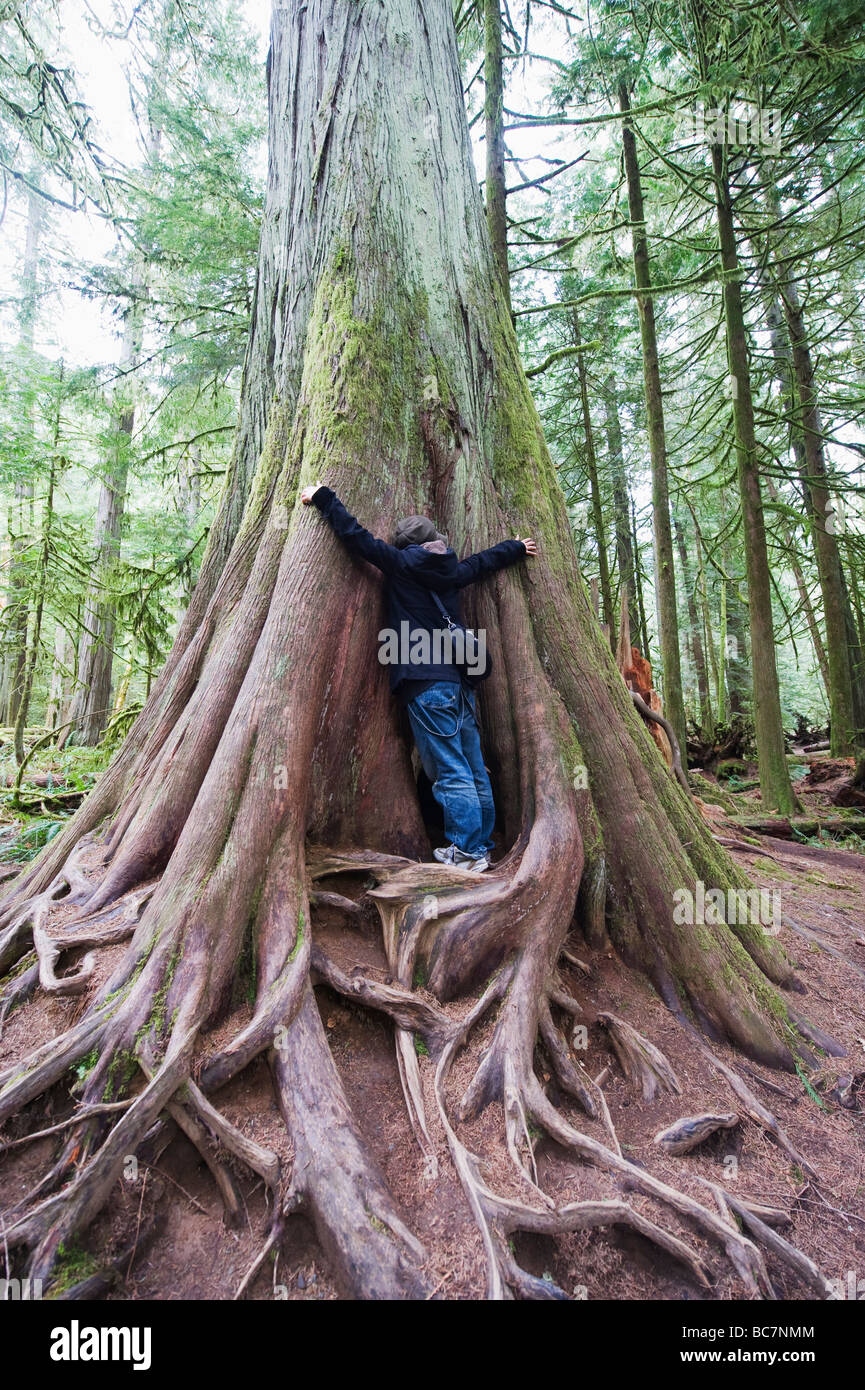 Vecchia Foresta in Cattedrale Grove MacMillan Parco Provinciale Vancouver Island British Columbia Canada Foto Stock