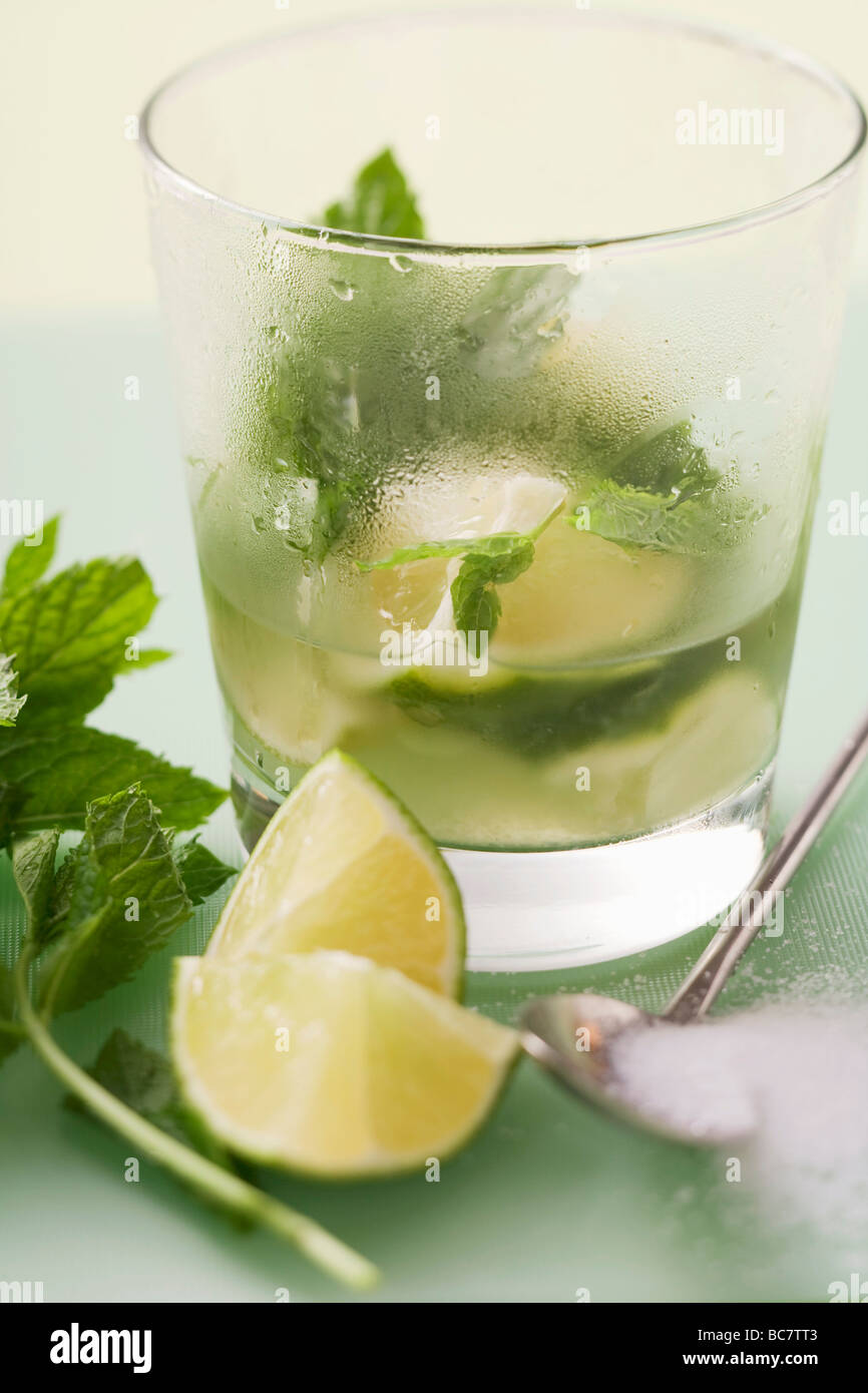 Bicchiere di Mojito con calce & Mint, circondato da ingredienti - Foto Stock