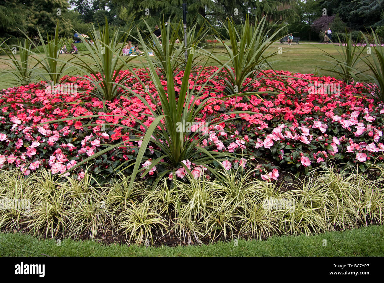 Estate paesaggistici fiori colori colori vegetali fioriture di giardini di Greenwich Park Londra Inghilterra Regno Unito Europa Foto Stock