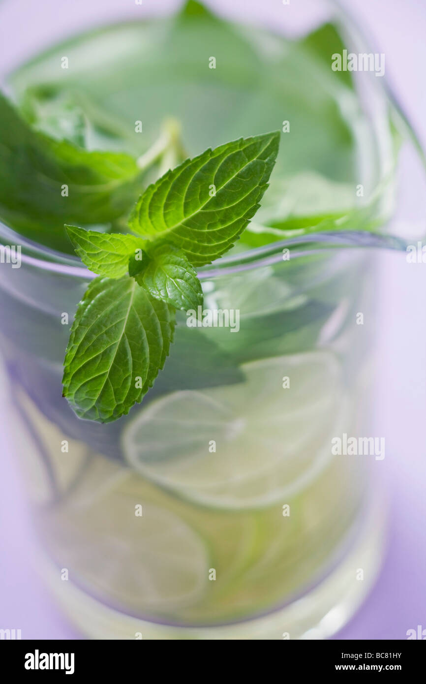 Il Mojito con lime e menta fresca - Foto Stock