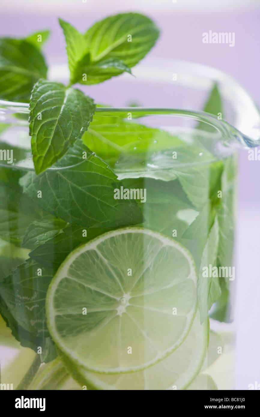 Il Mojito con lime e menta fresca - Foto Stock