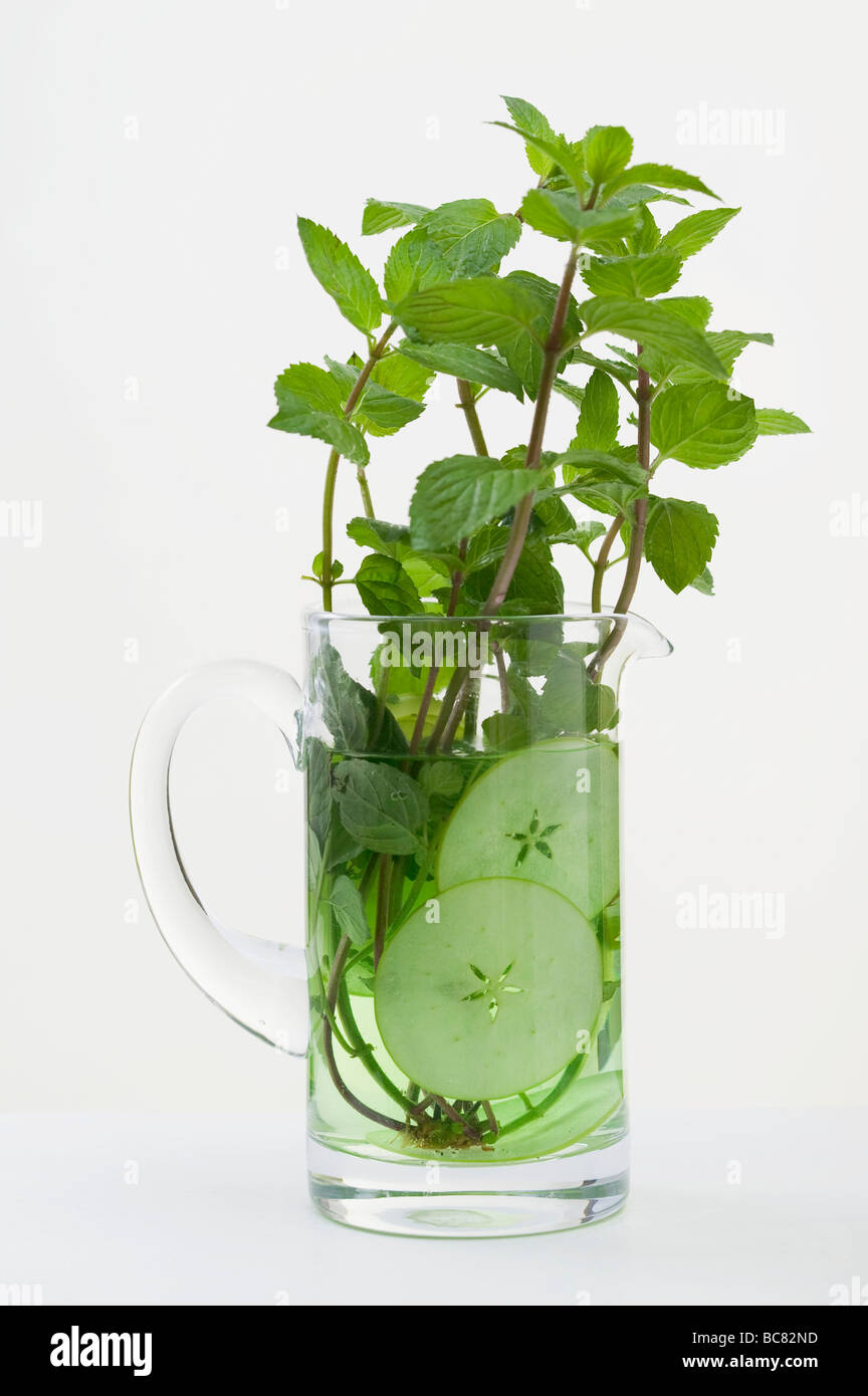 Foglie di menta e fette di cetriolo in caraffa di acqua - Foto Stock