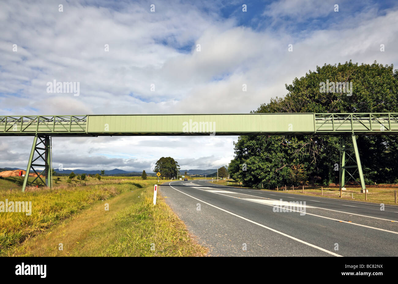 Nastro trasportatore attraversata la strada per lo scopo di tagliare in movimento la canna da zucchero per una fabbrica per la raffinazione Foto Stock