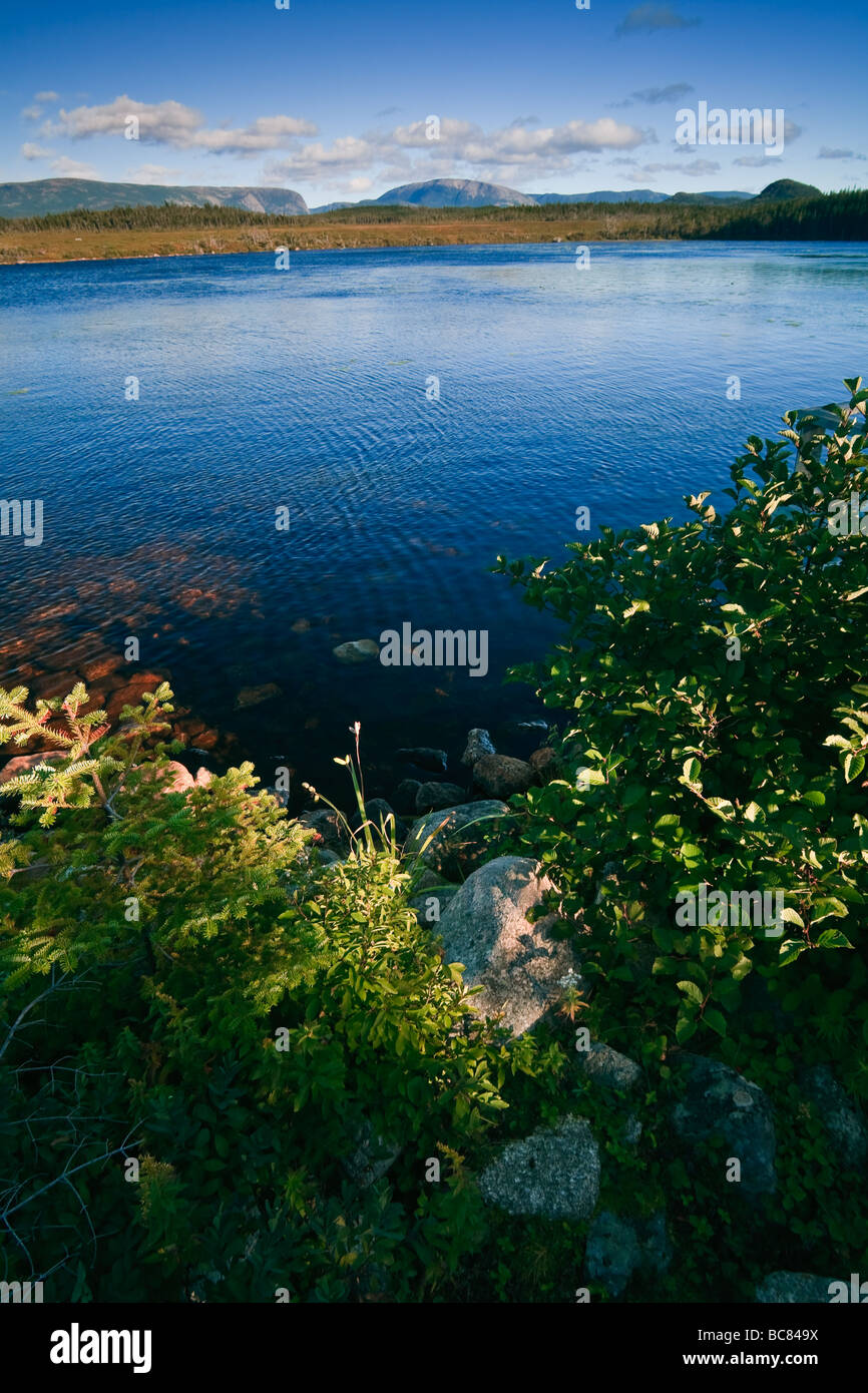Rivolta verso il lungo intervallo di montagne oltre Berry Head stagno, Parco Nazionale Gros Morne, Terranova, Canada Orientale. Foto Stock