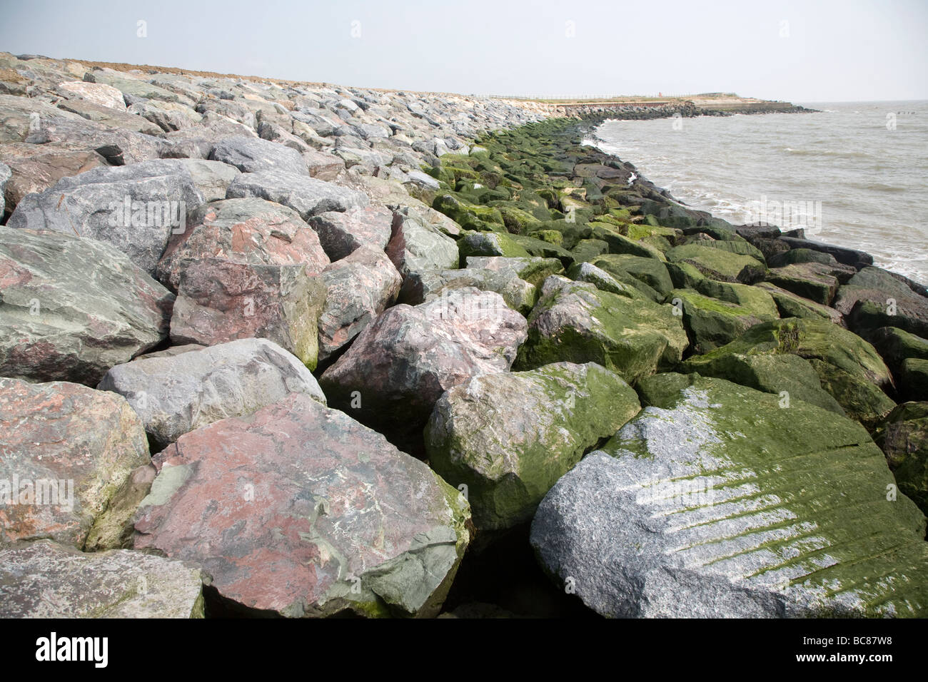 Nuova armatura di roccia le difese del mare orientale Bawdsey corsia Foto Stock