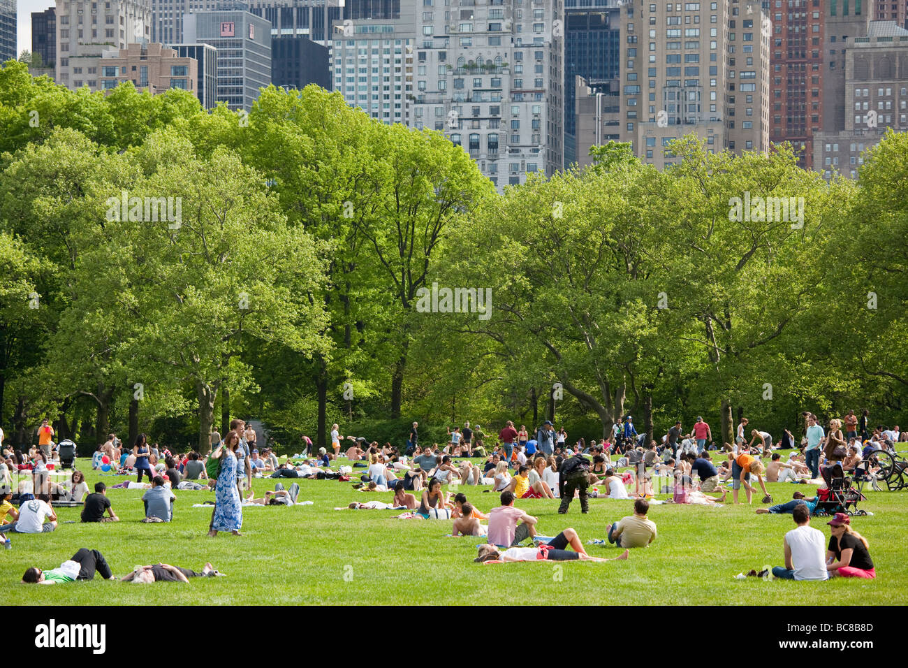 Sheep Meadow nel Central Park di New York City Foto Stock