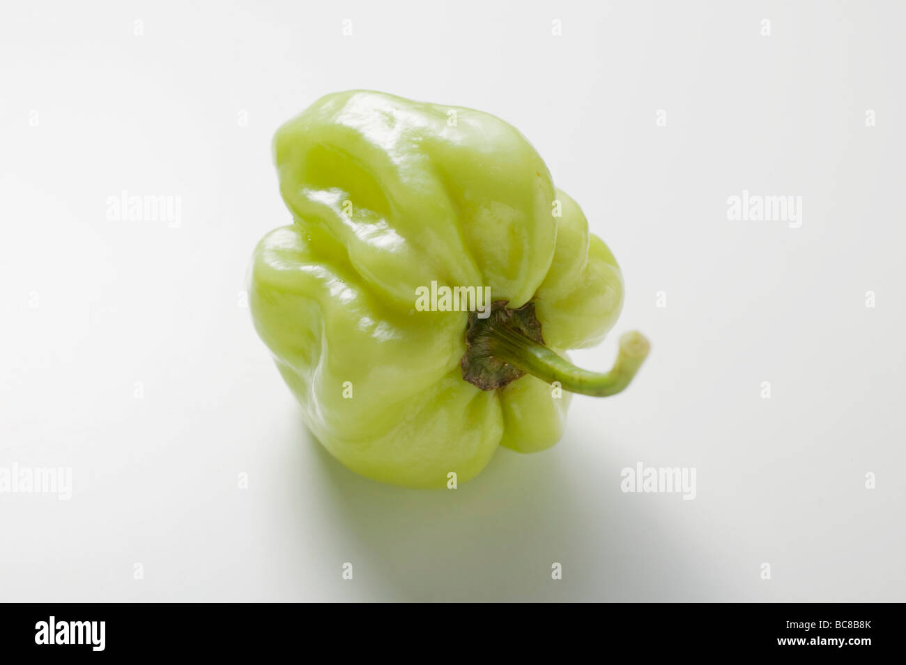 Verde peperoncino habanero - Foto Stock