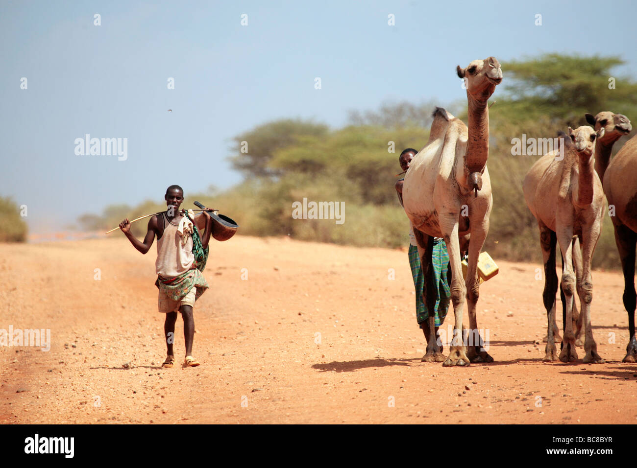 Camel Herder sulla strada tra Marsabit e il confine etiope nel nord del Kenya Foto Stock