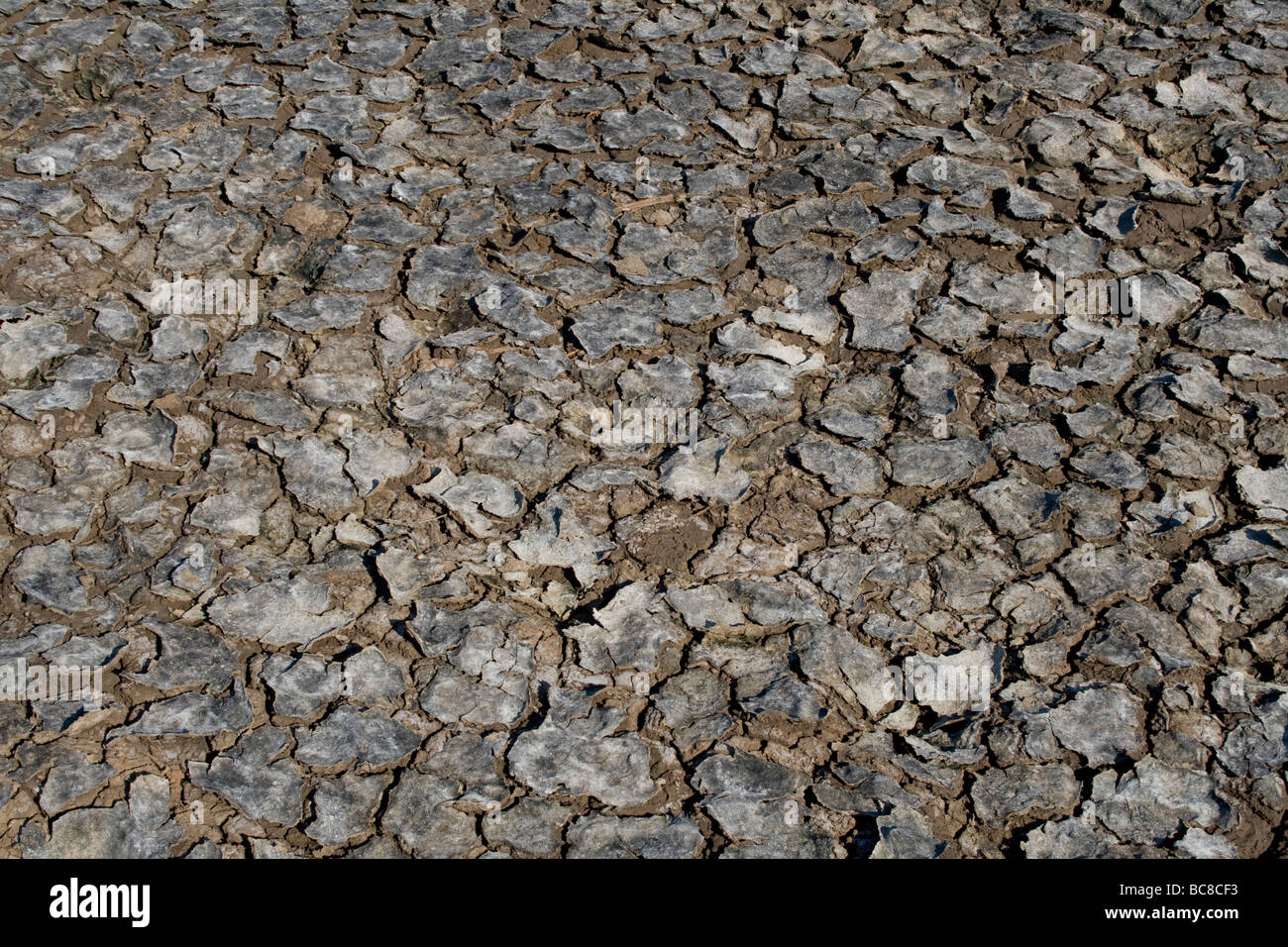Un colpite dalla siccità ESSICCATO FINO A TERRA CUDDALORE, TAMIL NADU Foto Stock