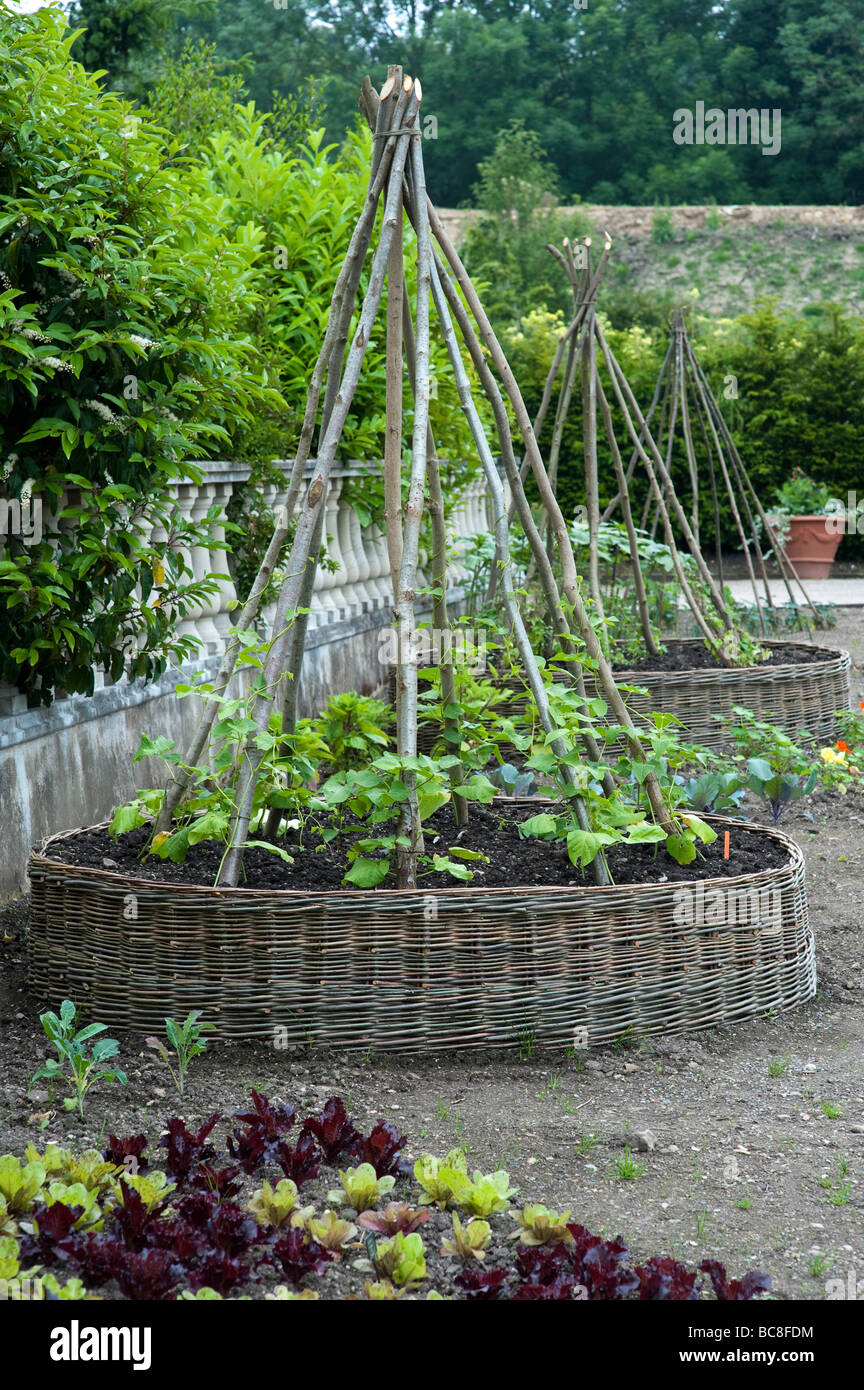 Victorian orto pratiche, RHS Harlow Carr Foto Stock
