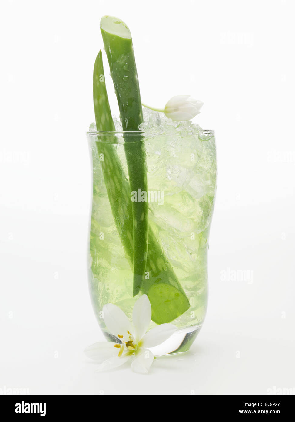 Aloe vera succo con cubetti di ghiaccio - Foto Stock