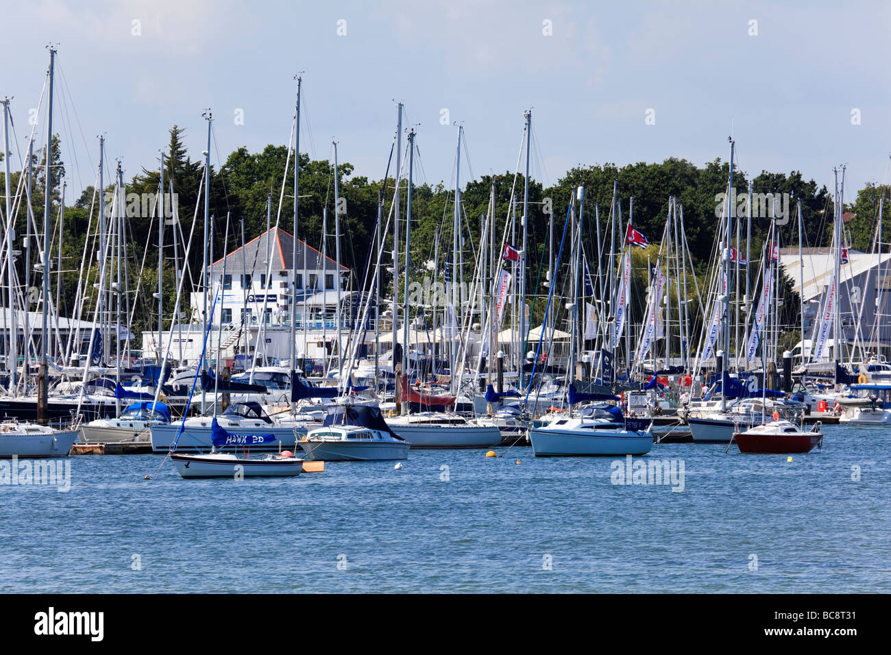 Foresta di alberi yacht ormeggiato sul fiume Hamble a Hamble le riso Hampshire REGNO UNITO Foto Stock