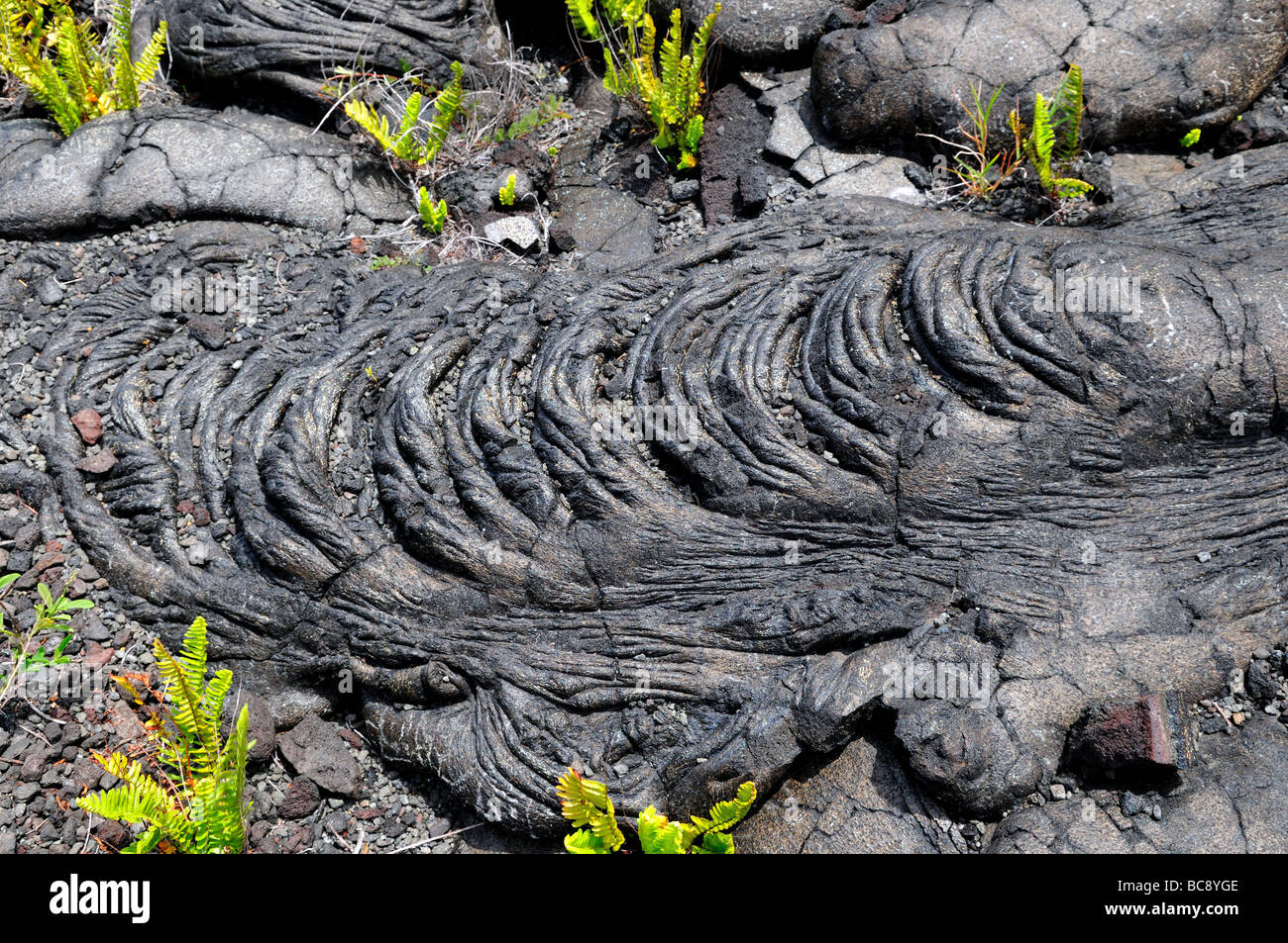 Il basalto lavico, Hawaii, Stati Uniti d'America. Foto Stock