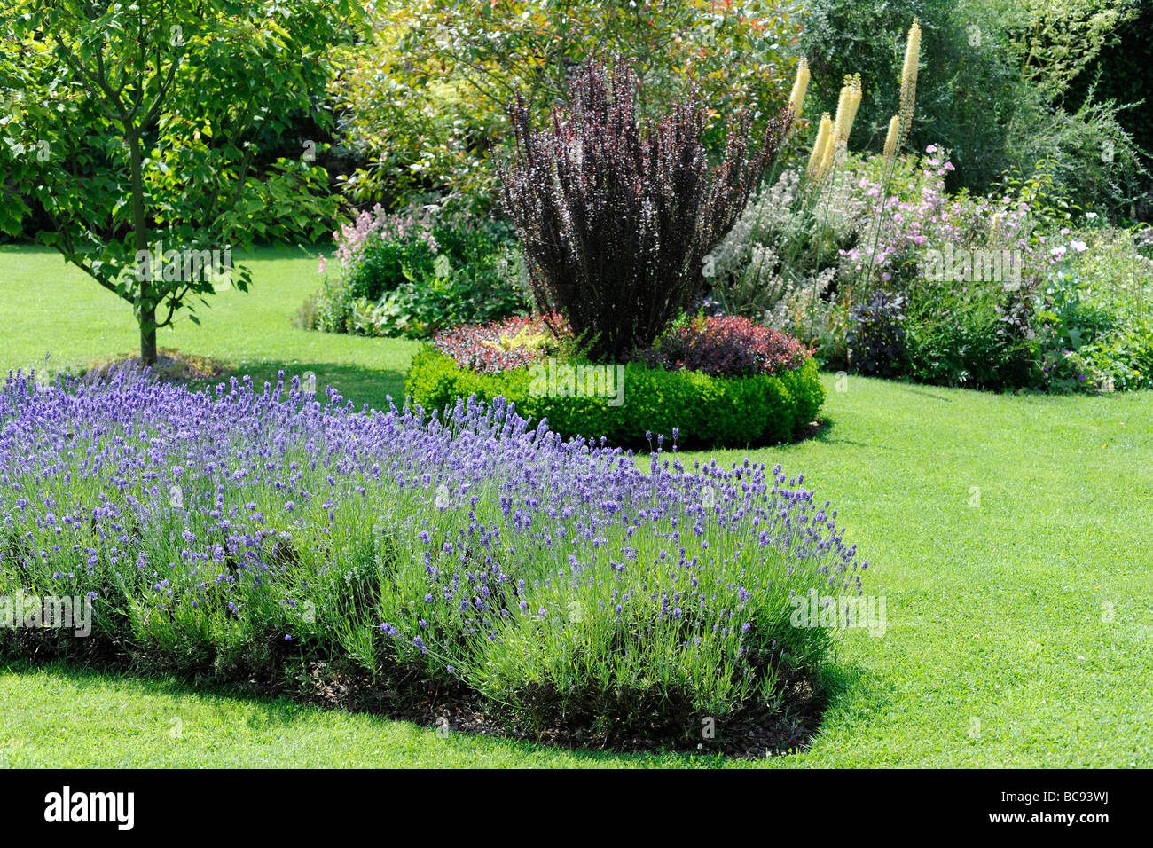 Paesaggistico Giardino Inglese in Stoberry Park, Somerset, Regno Unito Foto Stock