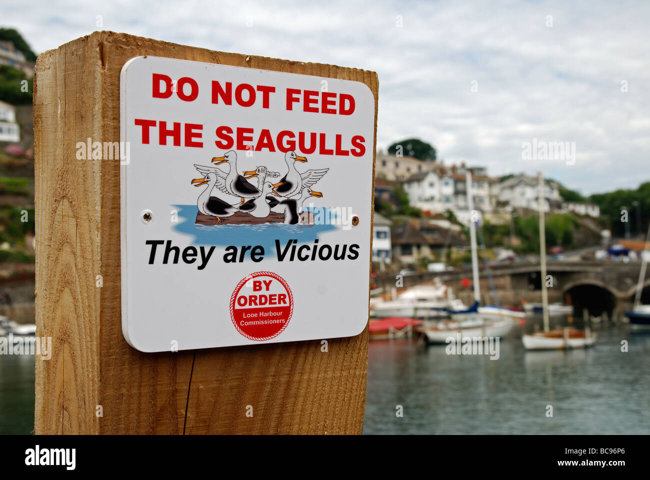 Un 'non alimentare i gabbiani " segno a Looe in cornwall, Regno Unito Foto Stock