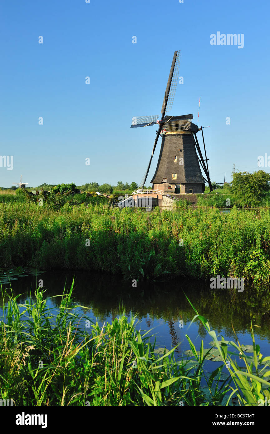 Bellissimo paesaggio di mulino a vento a kinderdijk nei Paesi Bassi nei pressi di Rotterdam Foto Stock