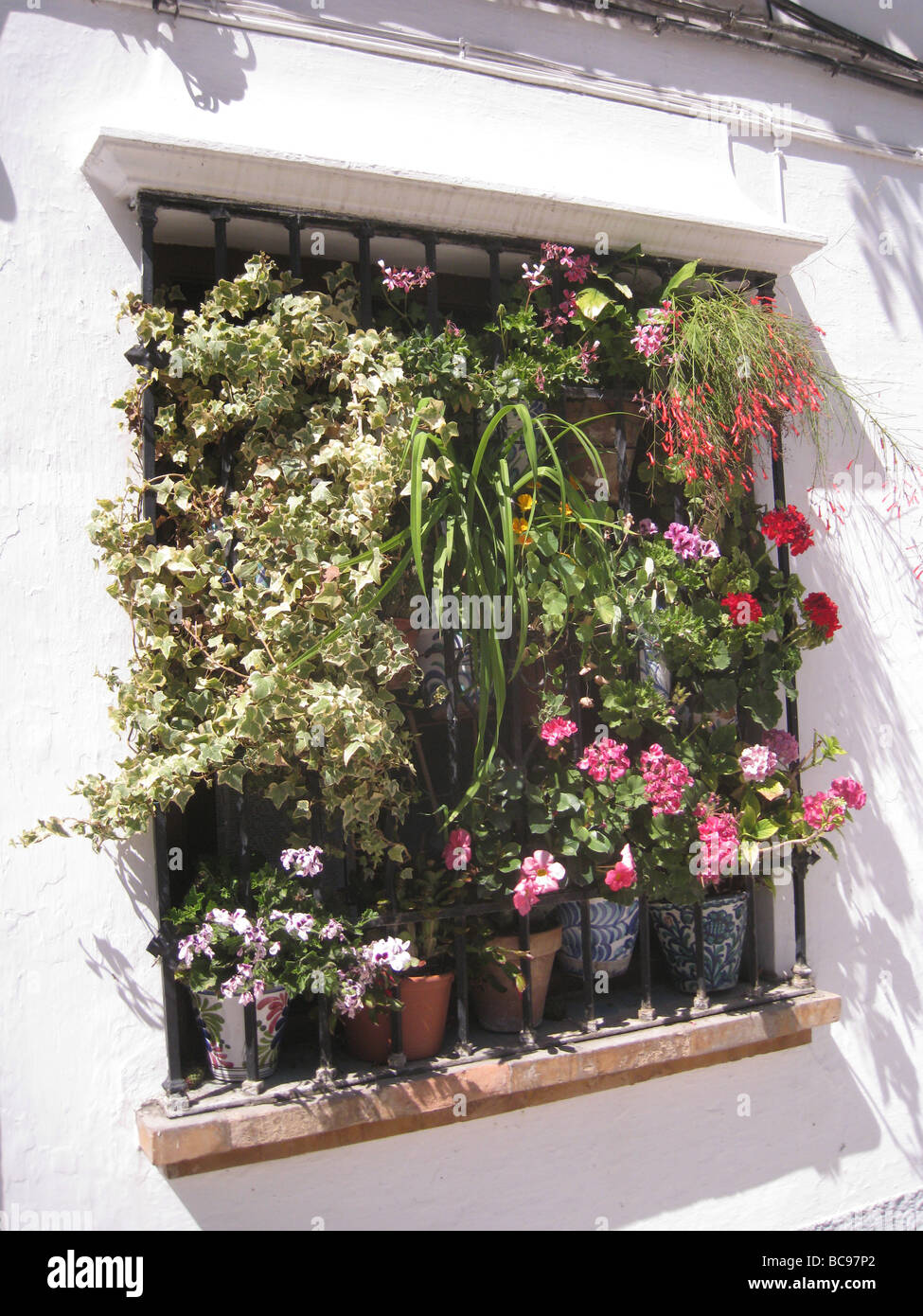 Fiore di vetro riempito in Granada, Spagna Foto Stock