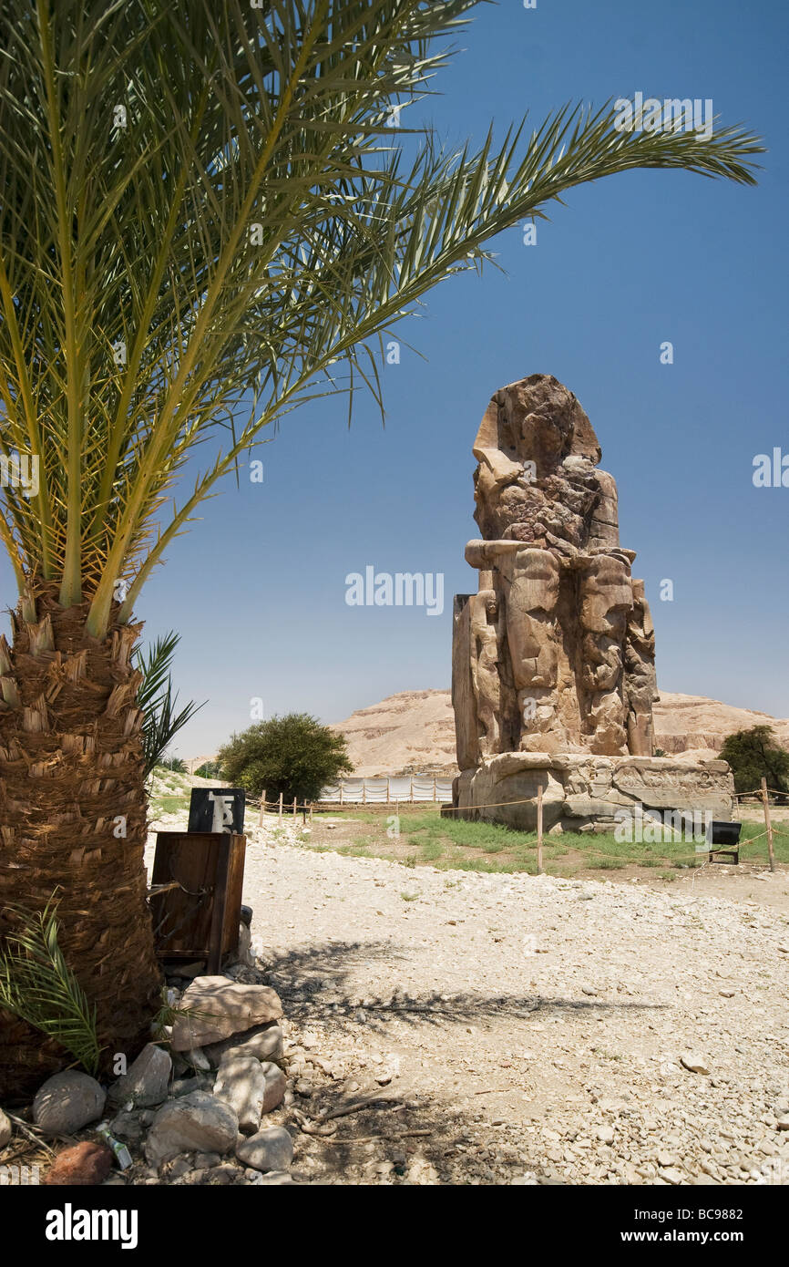 Uno dei i Colossi di Memnon le statue sulla sponda ovest del Nilo a Luxor, Egitto Foto Stock