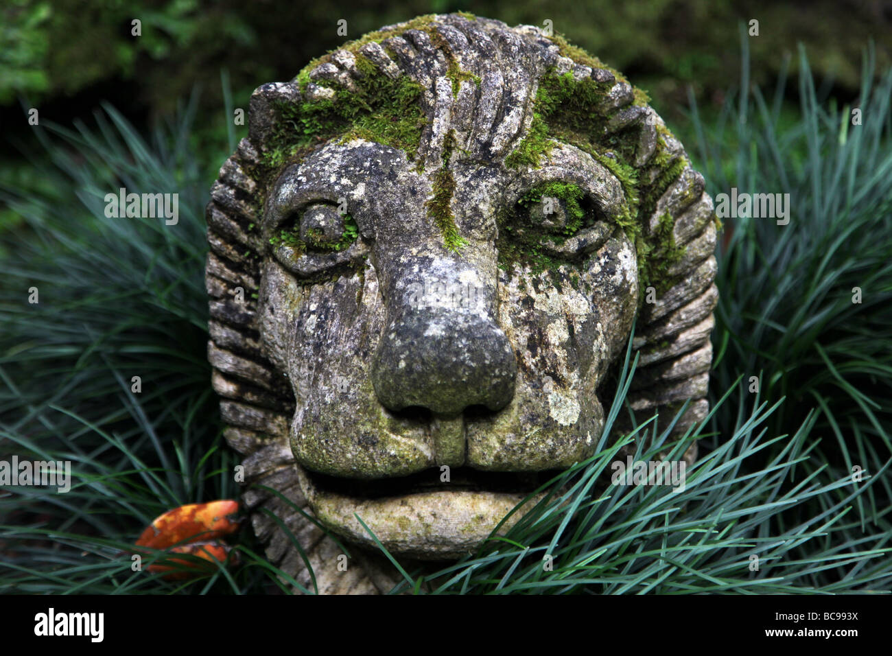 Leone di pietra s testa in Monte Palace Gardens Foto Stock