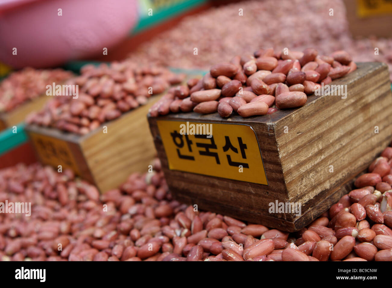Visualizzazione di arachidi Foto Stock