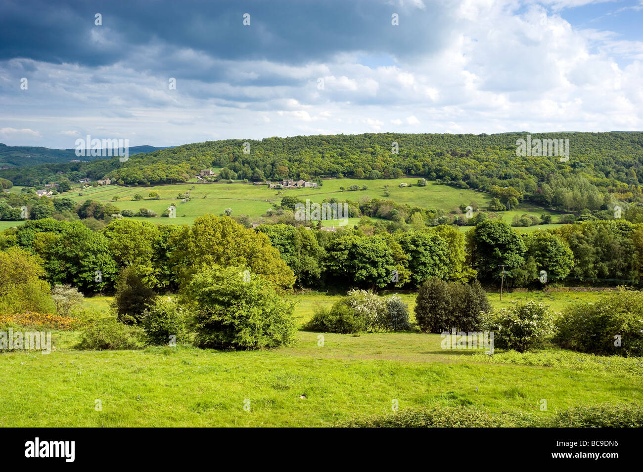 Holme Valley vicino a Meltham Kirklees West Yorkshire Inghilterra Foto Stock