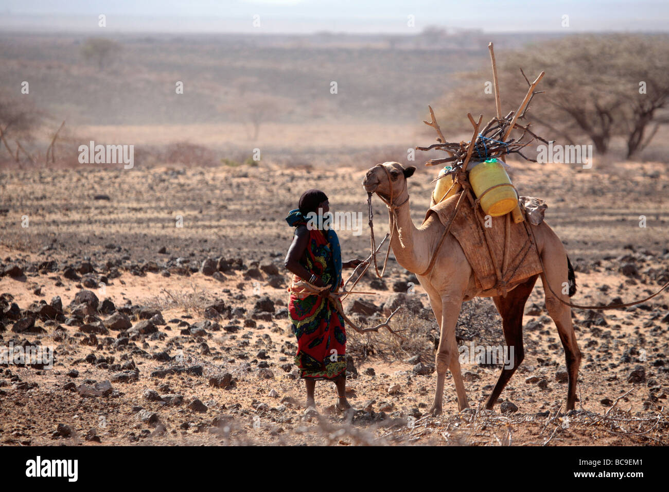Camel Herder sulla strada tra Marsabit e il confine etiope nel nord del Kenya Foto Stock