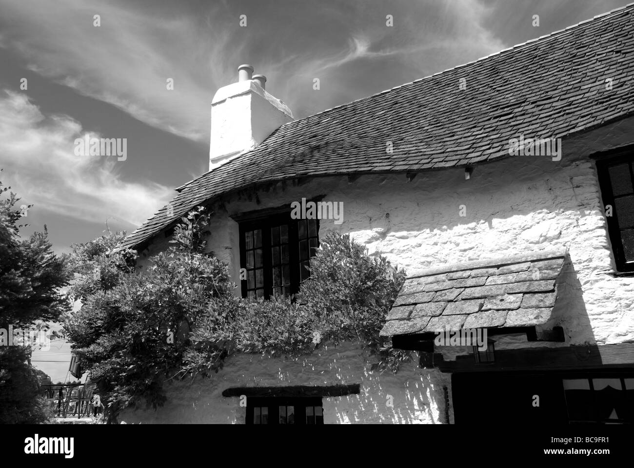 Un tradizionale Devon cottage in Noss Mayo in South Devon, Inghilterra.bianco e nero,filtro rosso,village Foto Stock