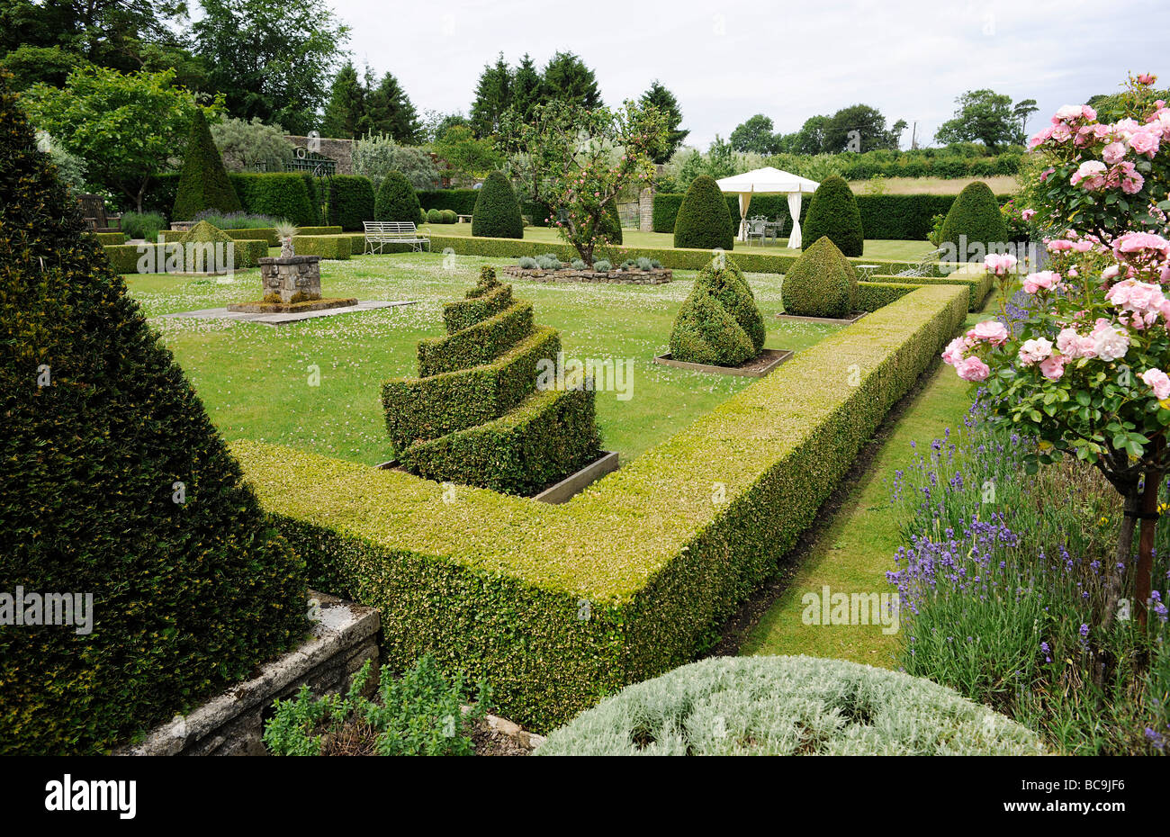 Topiaria da e siepi di bosso in un giardino inglese nel Somerset, Regno Unito Foto Stock