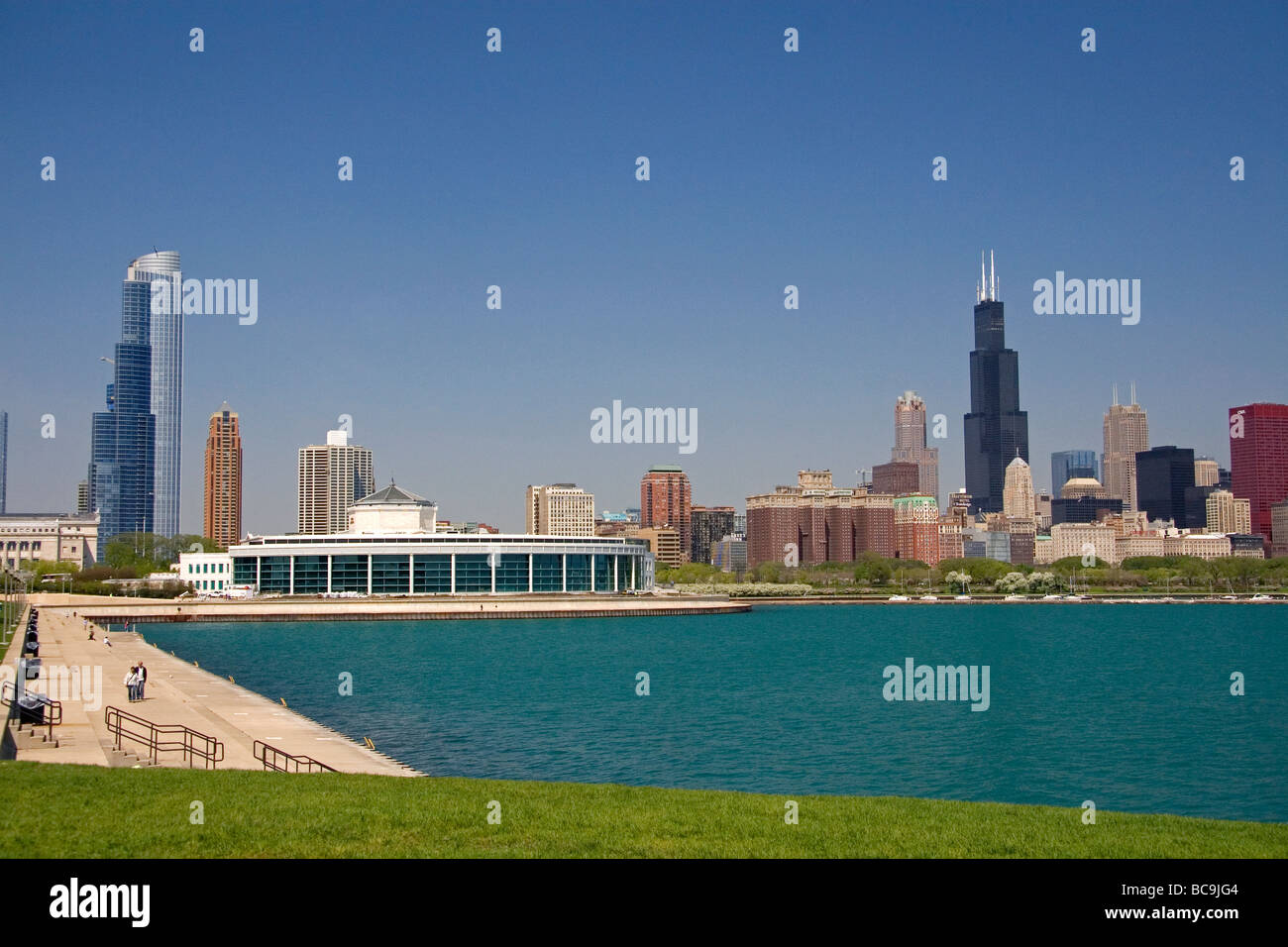 Shedd Aquarium e sullo skyline di Chicago in Illinois USA Foto Stock