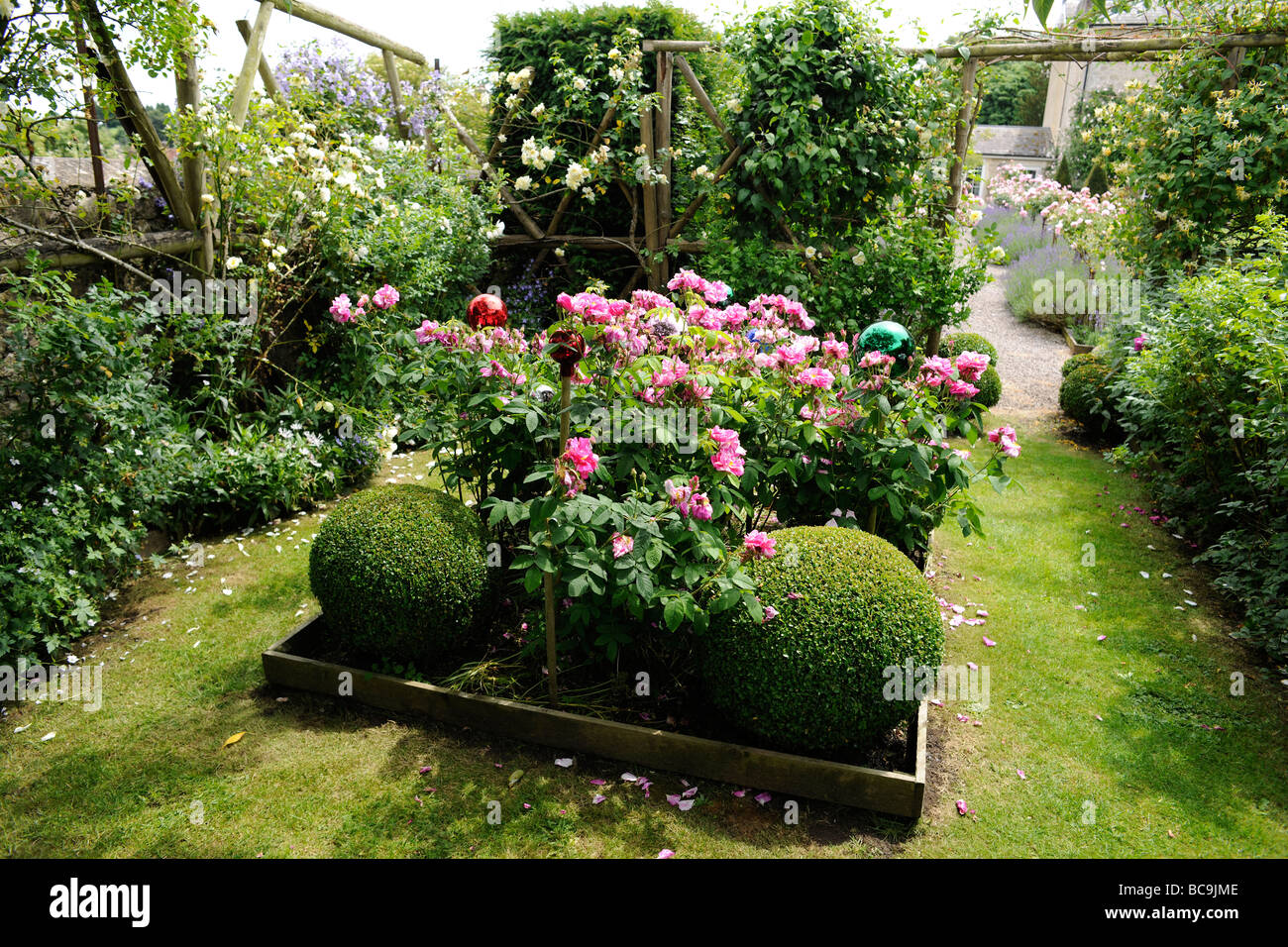 Boxed siepi fiori e decorativi sfere colorate in un giardino inglese nel Somerset, Regno Unito Foto Stock