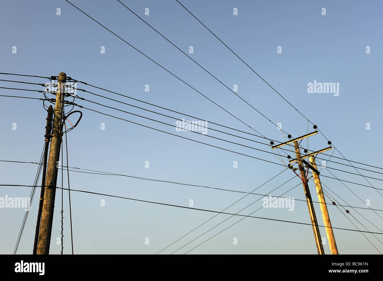L'energia elettrica e i cavi telefonici, Shropshire Foto Stock