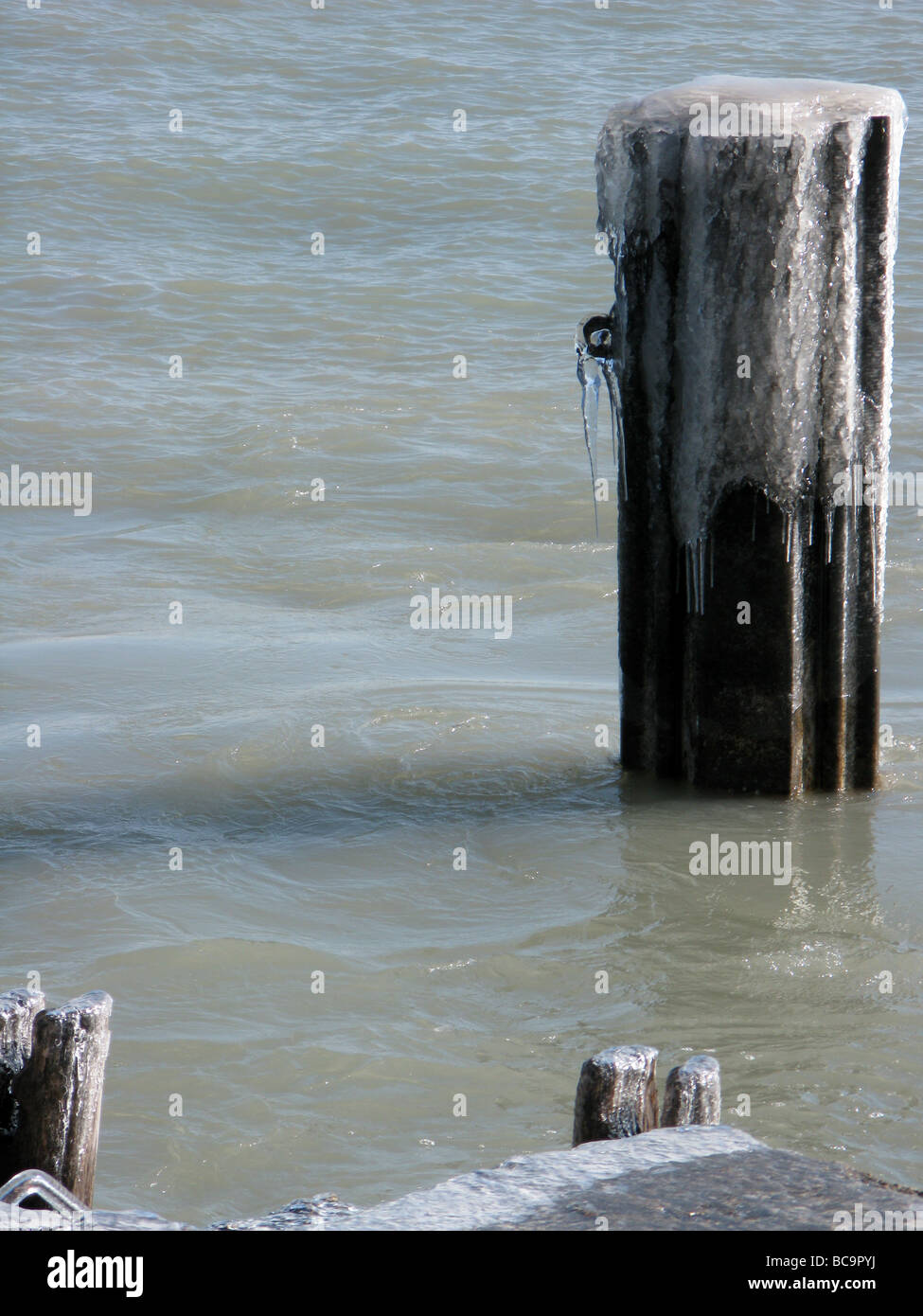 Il lago Michigan con struttura ad albero e banco, Chicago, Illinois Foto Stock